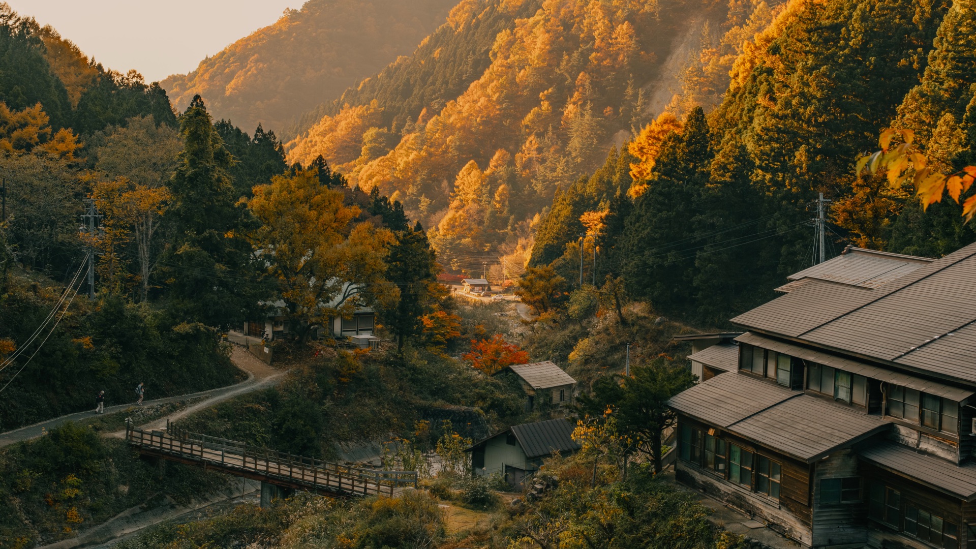 vim 基本操作：从模式切换到保存退出